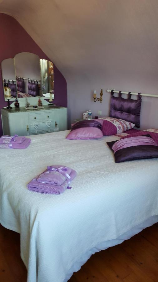 Au Berceau Du Loup Agile Bed & Breakfast Offendorf ภายนอก รูปภาพ